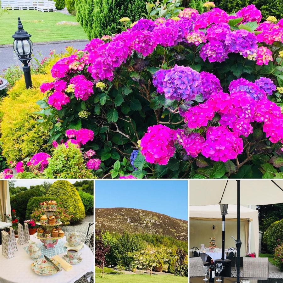 Hillcrest Farmhouse Bed & Breakfast Boyhollagh Luaran gambar