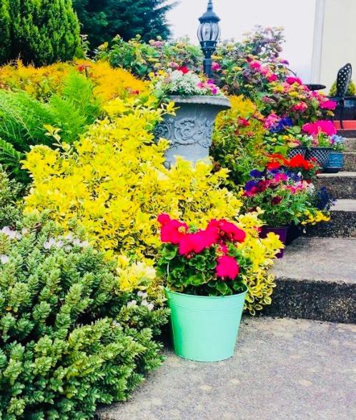 Hillcrest Farmhouse Bed & Breakfast Boyhollagh Luaran gambar